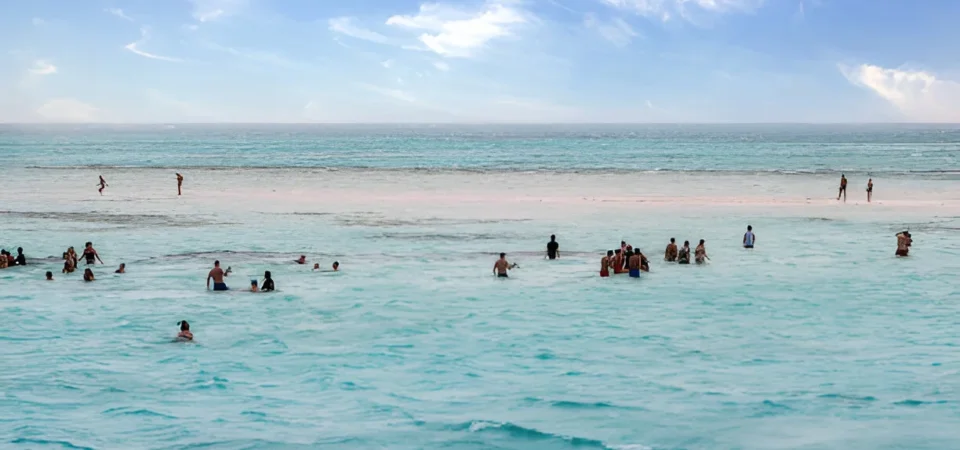 Ras Mohamed and White Island by boat