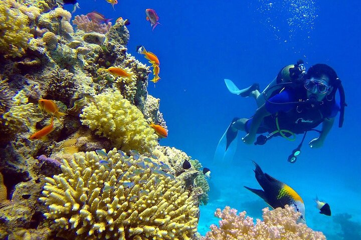 Full-Day Snorkeling to Utopia Island with Boat